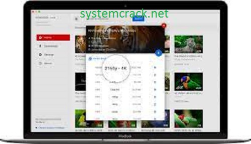 4K Video Downloader 4.21.0.4940 Crack + License Key 2022 Free