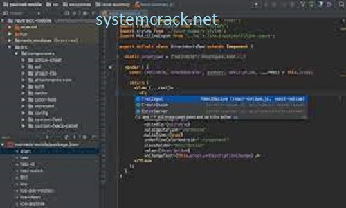 WebStorm 2022.10.0.4 Crack With License Key 2022 Download