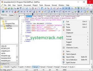 EditPlus 5.6.4272  Crack With License Key 2022 Free Download