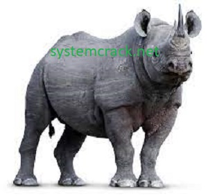 Rhinoceros 7.20 Crack With Activation Key 2022 [Latest]